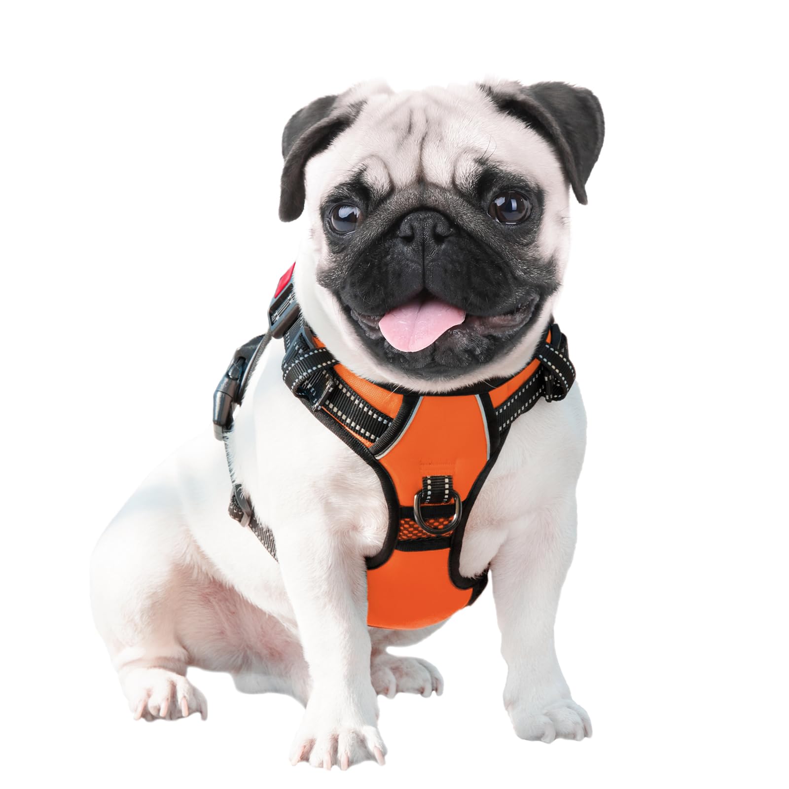 PHOEPET reflective material boosts visibility during evening walks.