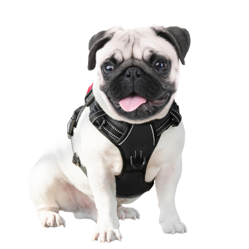 PHOEPET dual metal rings for versatile leash options.