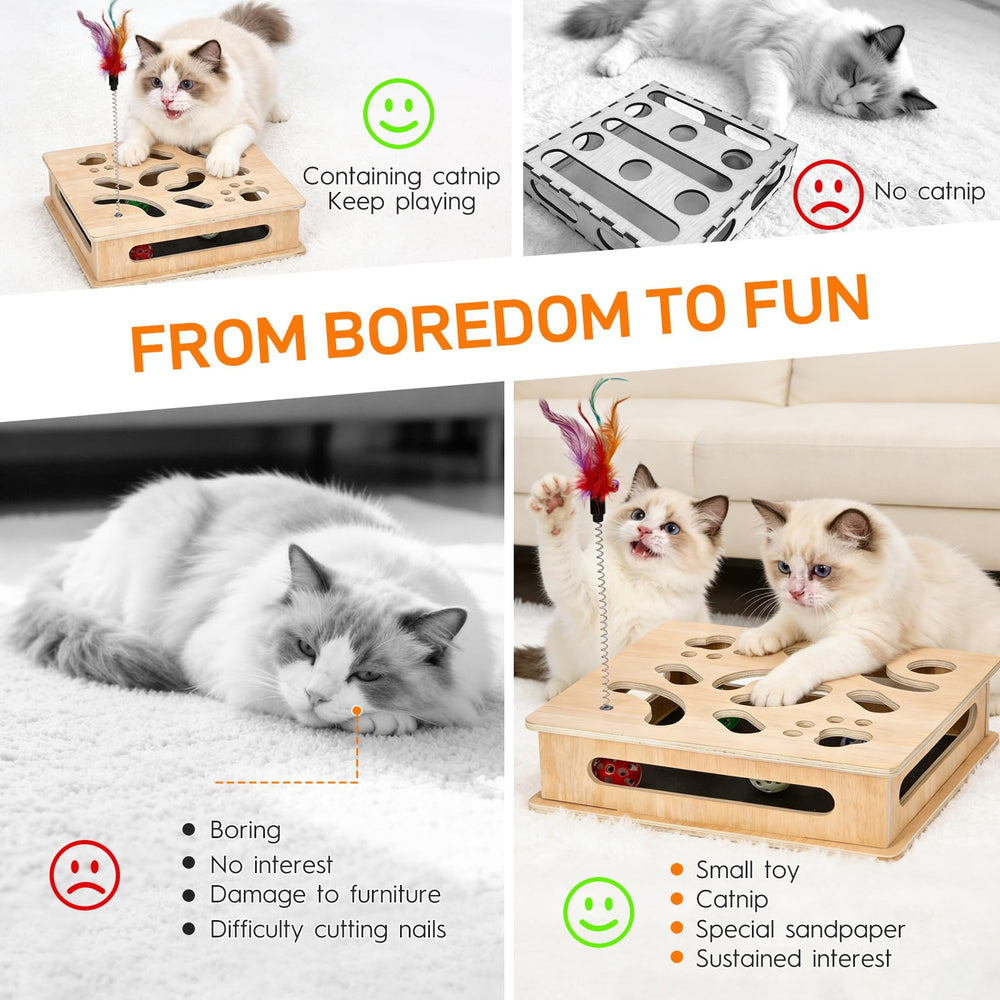 PHOEXXIX design suits cats of all ages turning grooming into a positive activity
