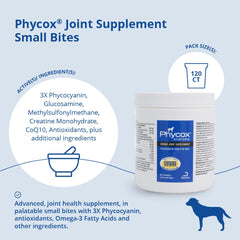PhyCox dog-chews in bowl, convenient addition to daily routine.