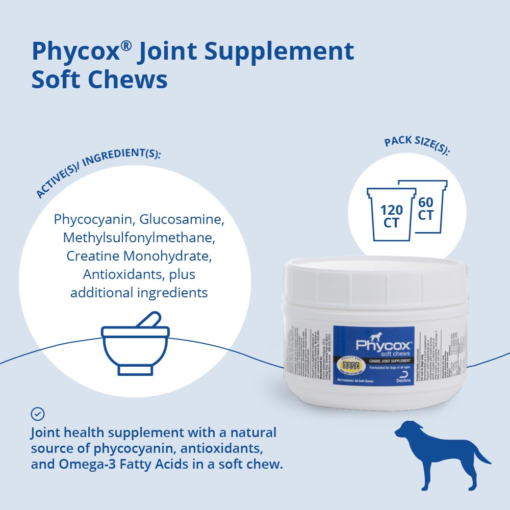 PhyCox dog joint chews support mobility during daily play.