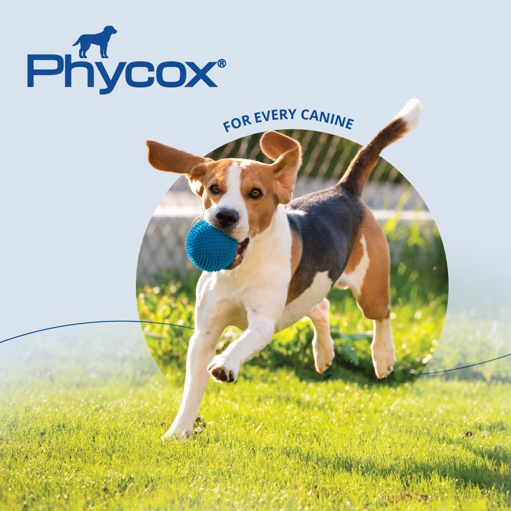 PhyCox joint supplement bottle showing dosage guidance.