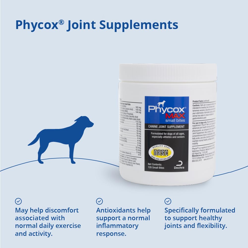 Bowl of Phycox MAX bites beside a dog toy for active play