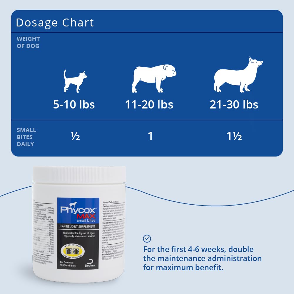 Bottle label indicates 120 count for convenient daily supplementation