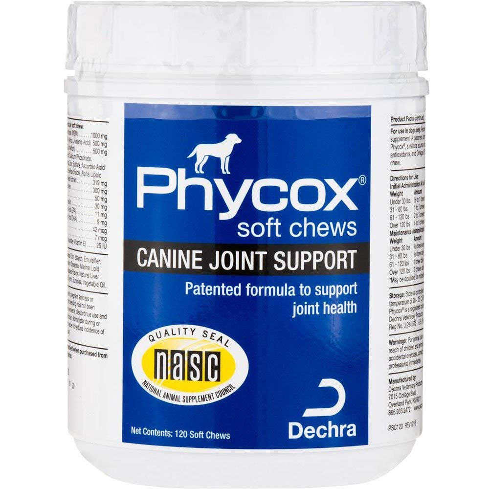 PhyCox One canine joint soft chews bottle ready for tasty daily joint support.