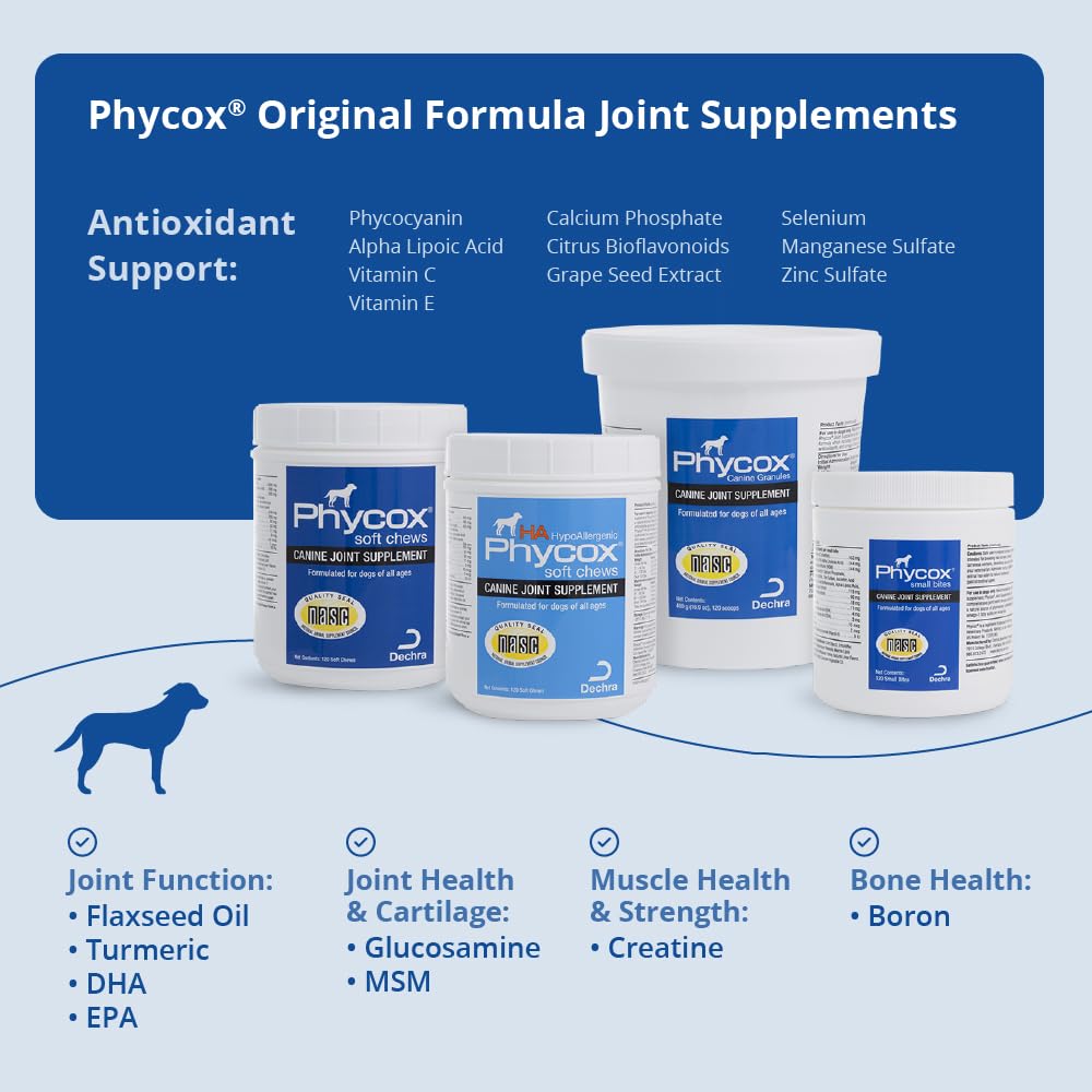 PhyCox phycocyanin 3x ingredient portion, shown with chews on surface.
