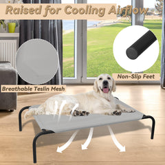 PHYEX elevated dog bed side view highlights a stable frame and roomy rest area.