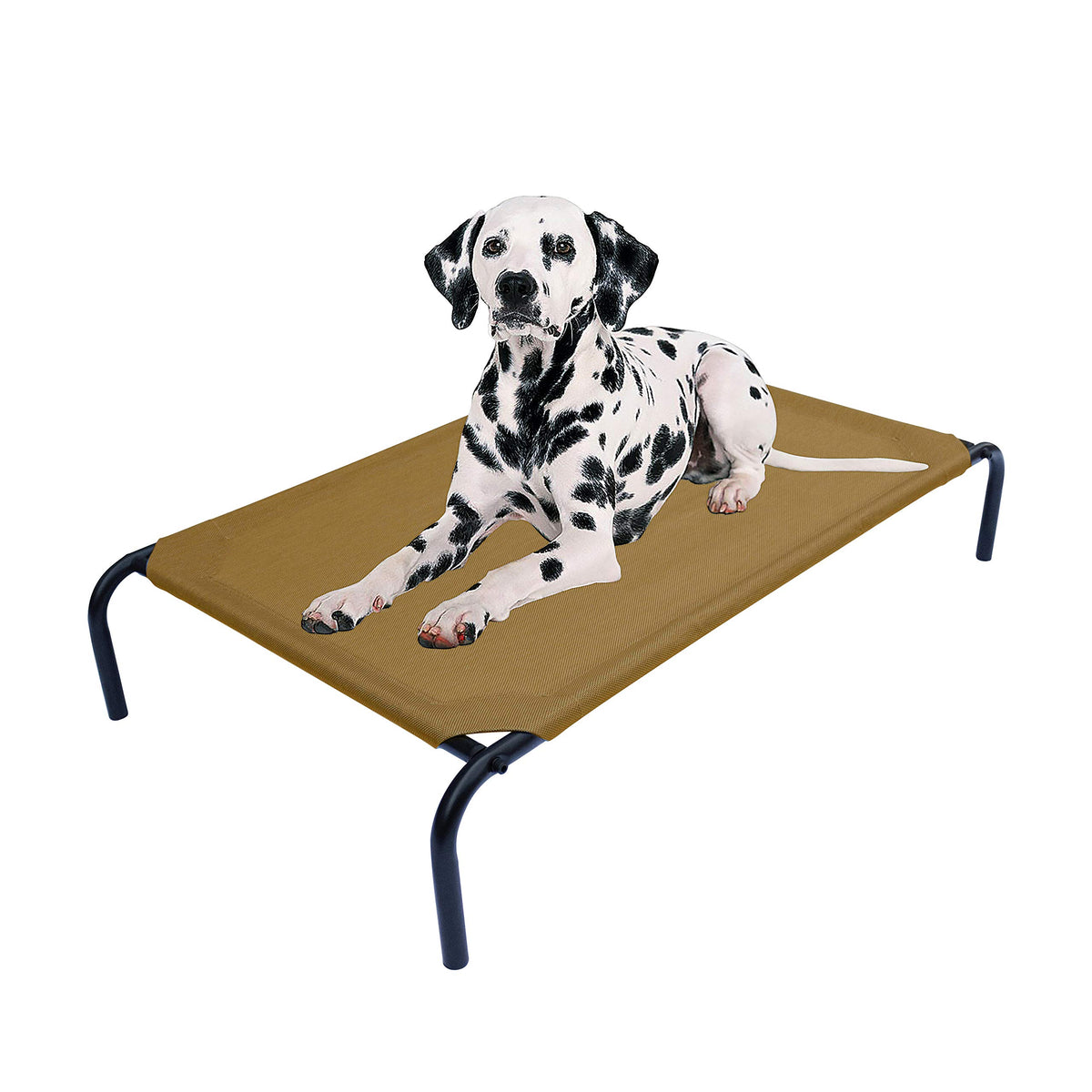 PHYEX elevated pet bed side view shows sturdy steel frame for durability.