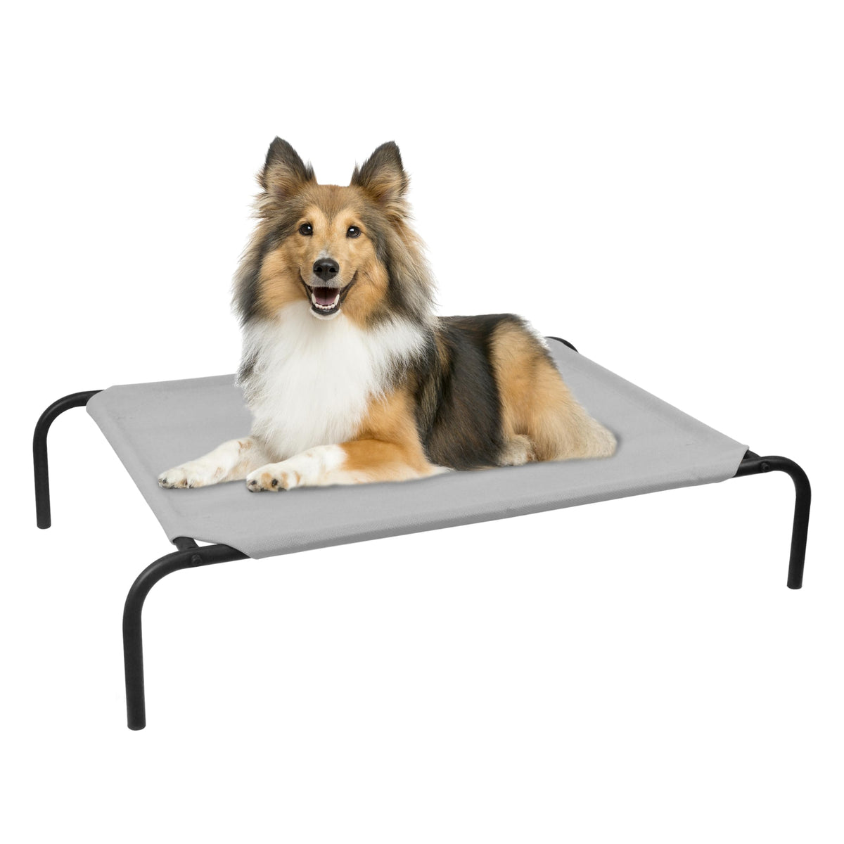 PHYEX Heavy Duty Pet Bed front view showing elevated frame for comfort