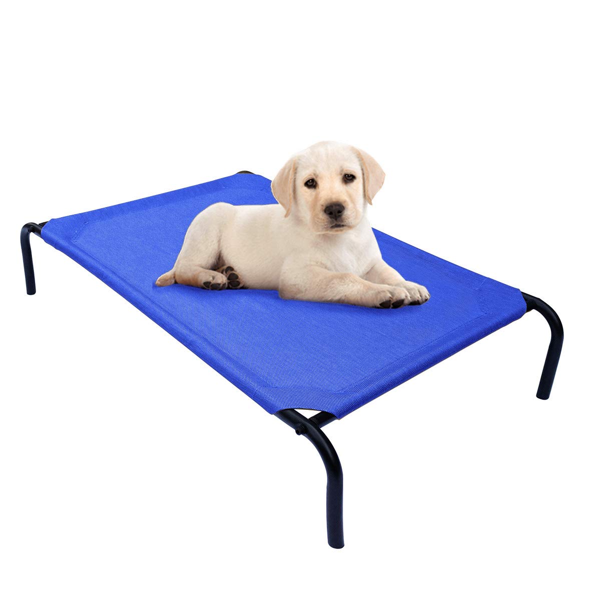 PHYEX raised pet cot with 33-inch frame offers a cool elevated resting spot