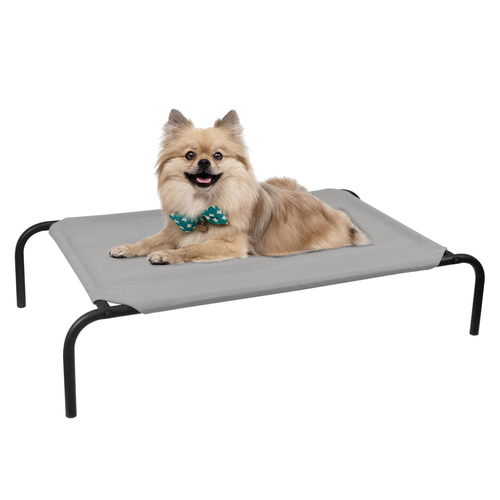 PHYEX raised pet cot assembly for small dogs and cats for quick setup.
