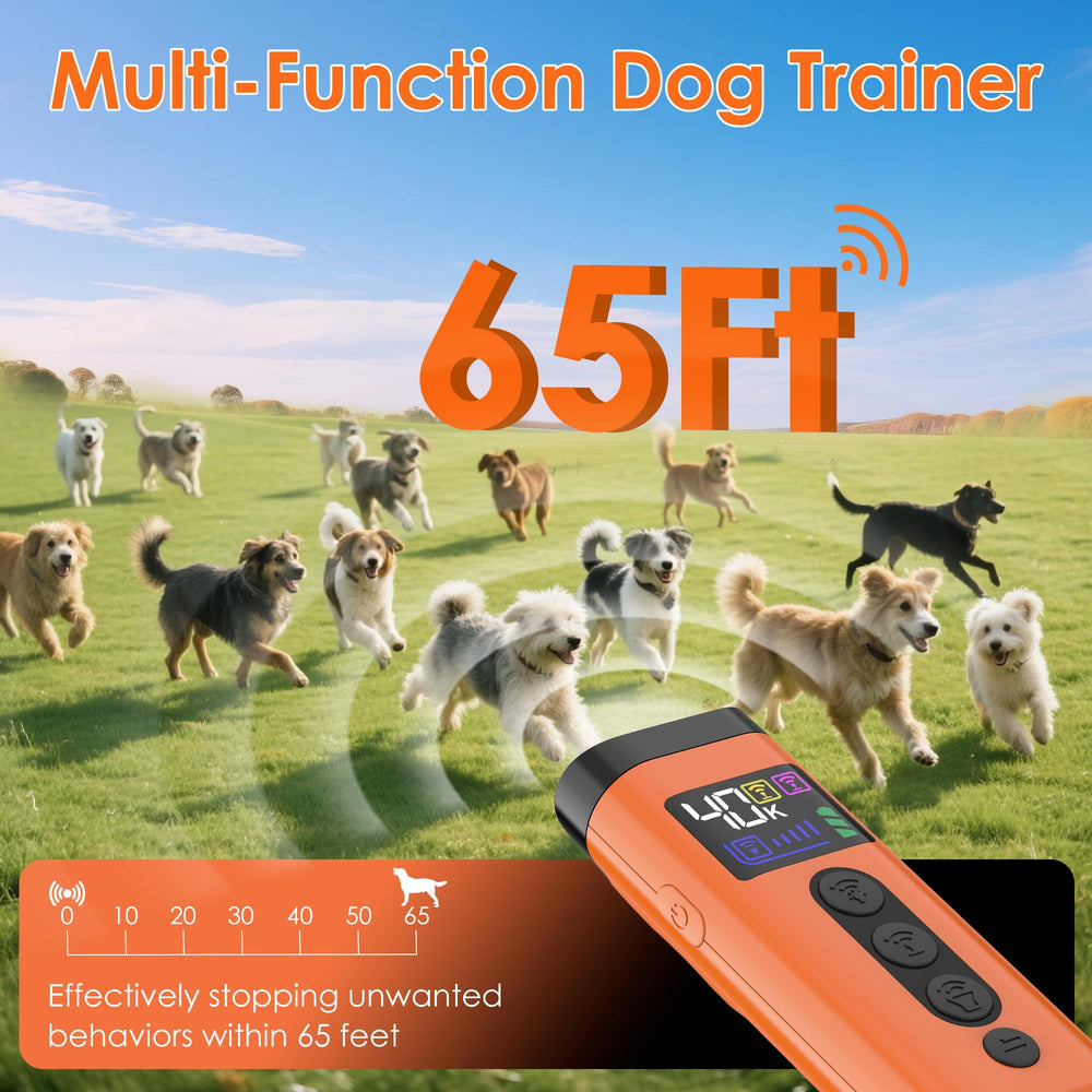 Phzibor 65-foot range supports indoor and outdoor barking training.