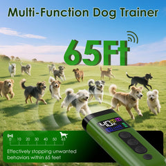 Phzibor three-frequency ultrasonic emission addresses different dog sensitivities.