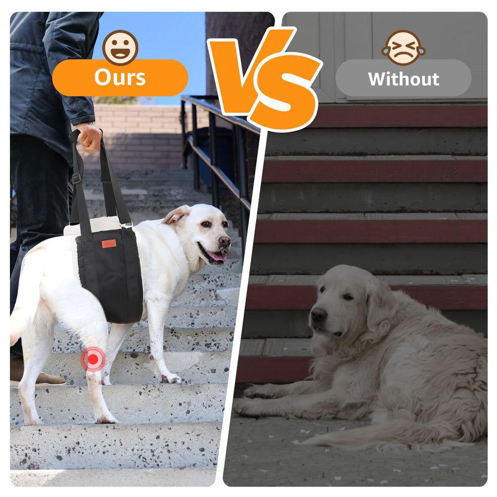 PICK FOR LIFE adjustable dog lift harness back view showing rear-leg support design.