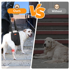 PICK FOR LIFE adjustable dog lift harness back view showing rear-leg support design.