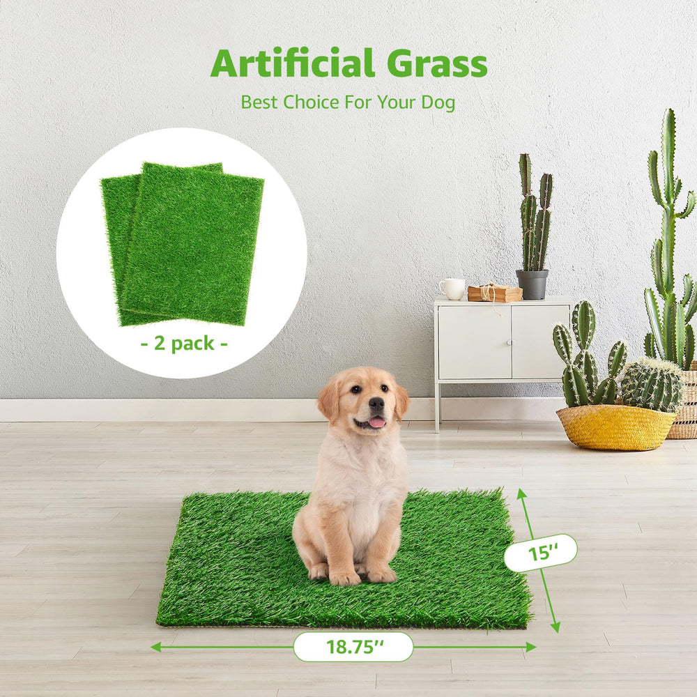 Realistic grass texture close-up shows soft surface for dogs