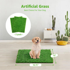 Realistic grass texture close-up shows soft surface for dogs