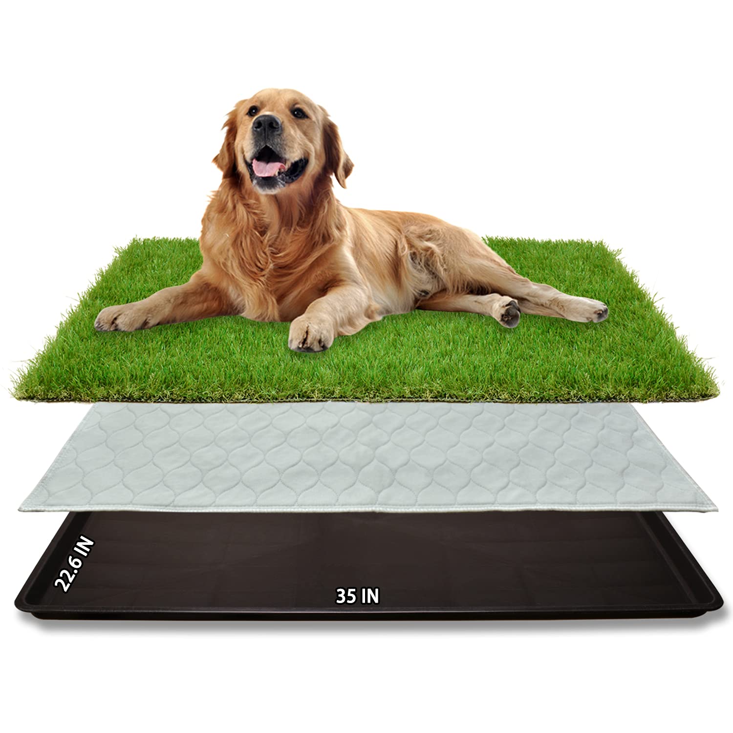 PICK FOR LIFE dog grass patch top view highlights large training area and easy cleaning.