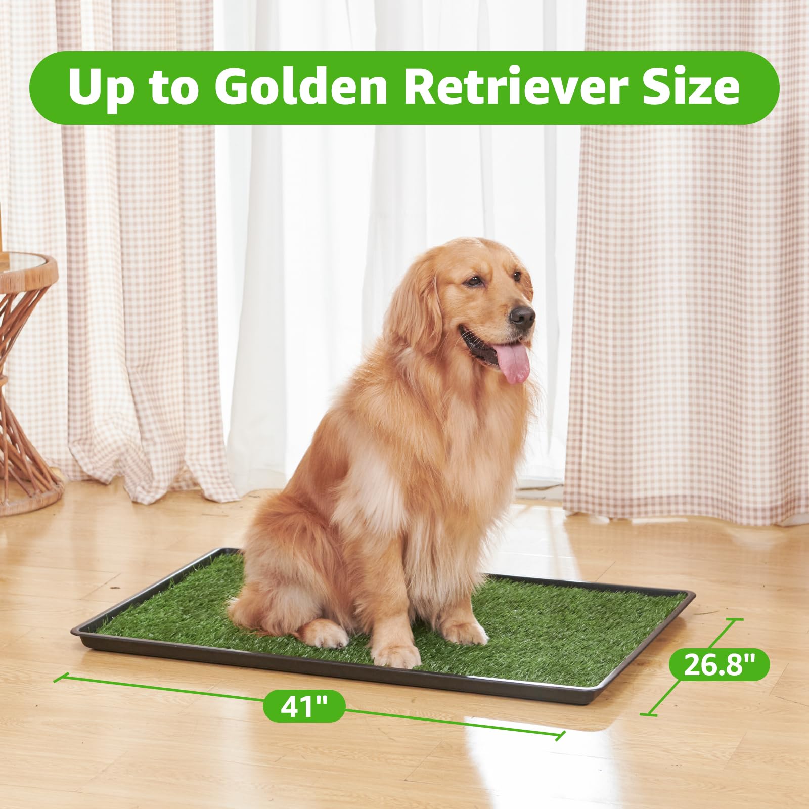 PICK FOR LIFE dog grass patch grass detail showing soft realistic turf for comfort.
