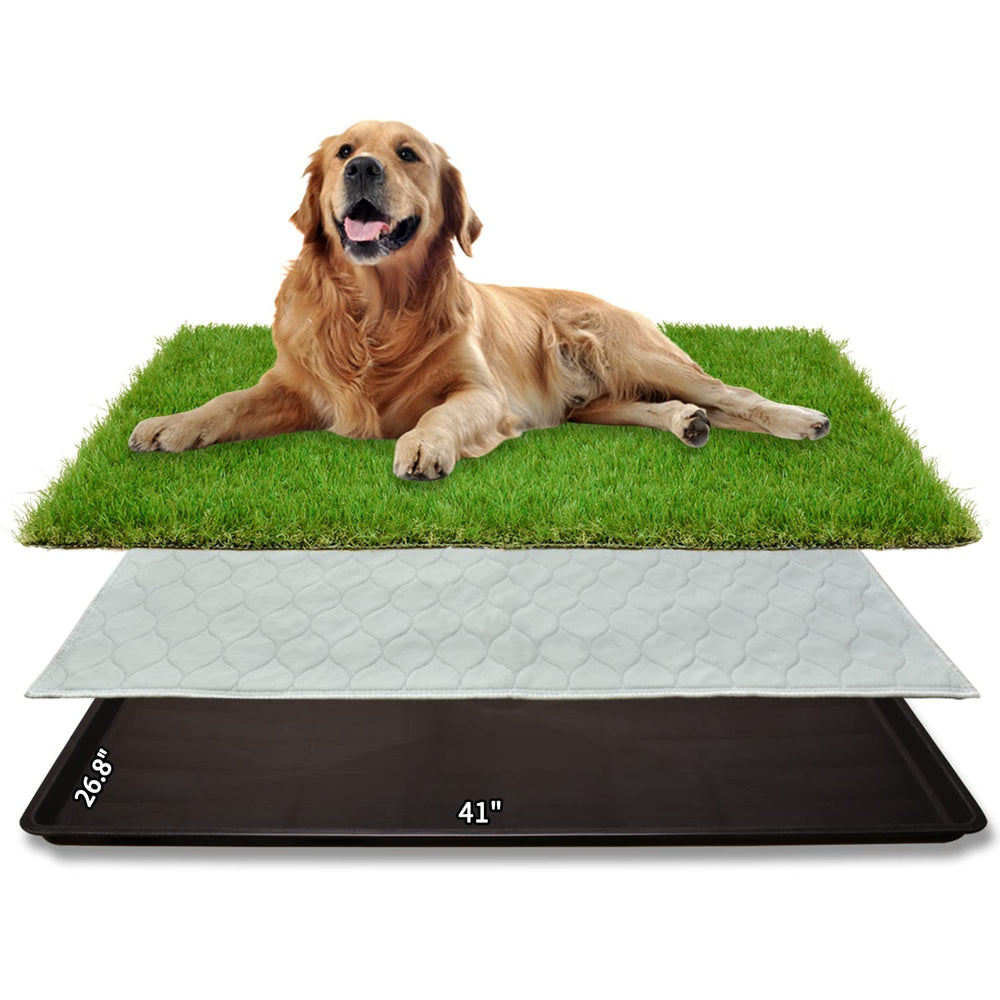 PICK FOR LIFE dog grass patch top view for spacious indoor potty training.