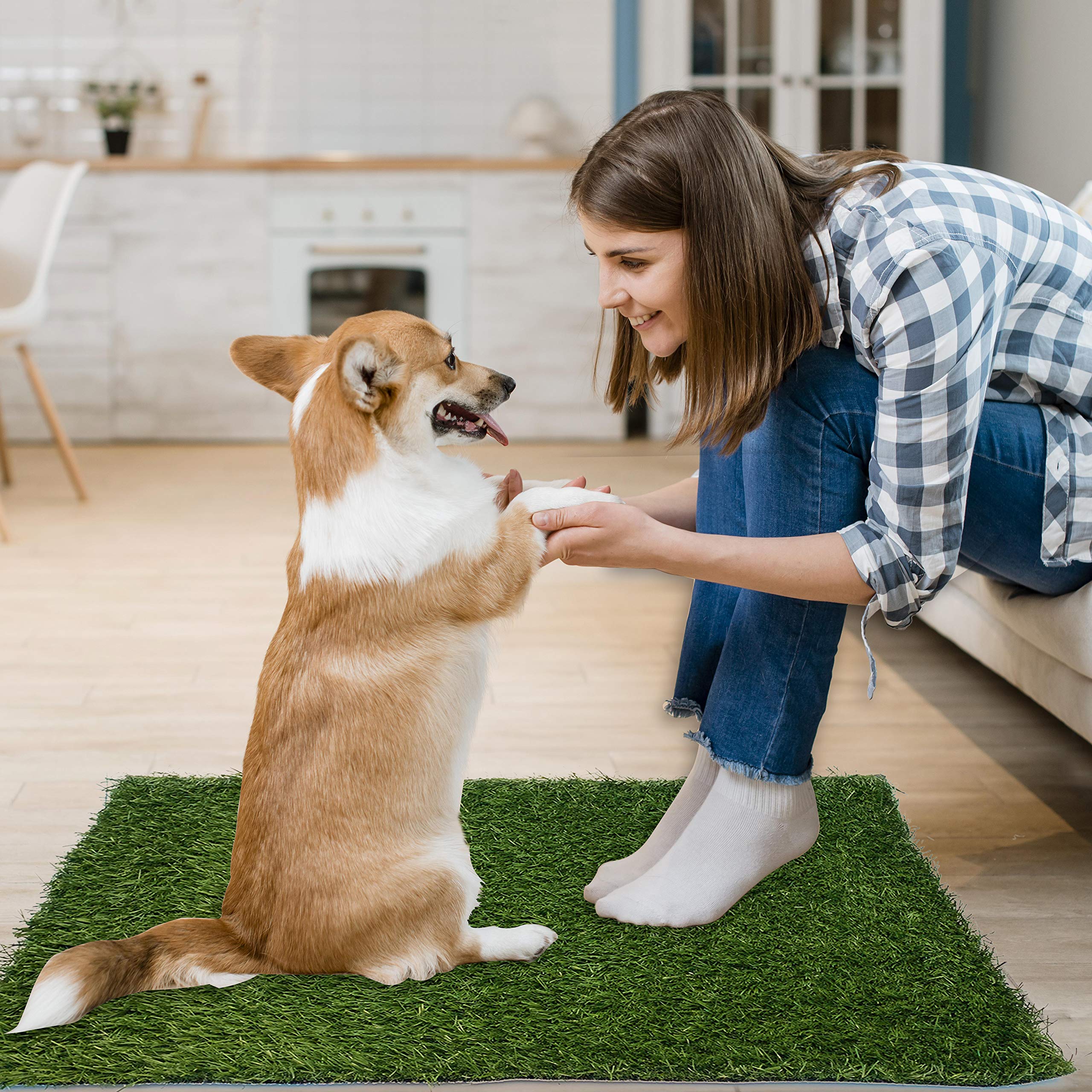 PICK FOR LIFE dog grass pee pad dual-pack ready for replacement use.