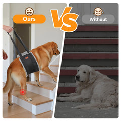 PICK FOR LIFE dog lift harness side with padded handles for easy lifting