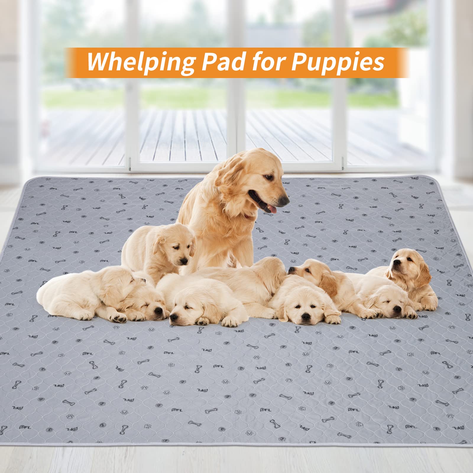 Ideal for kennels and travel with PICK FOR LIFE pee pad