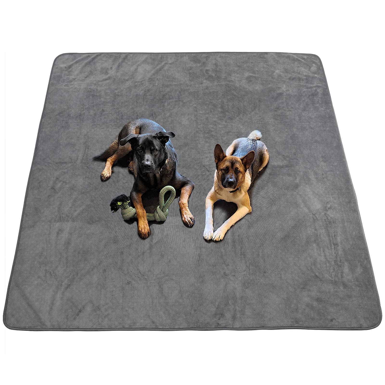 PICK FOR LIFE dog pee pad washable 65x48 inch for floor protection and quick absorption.