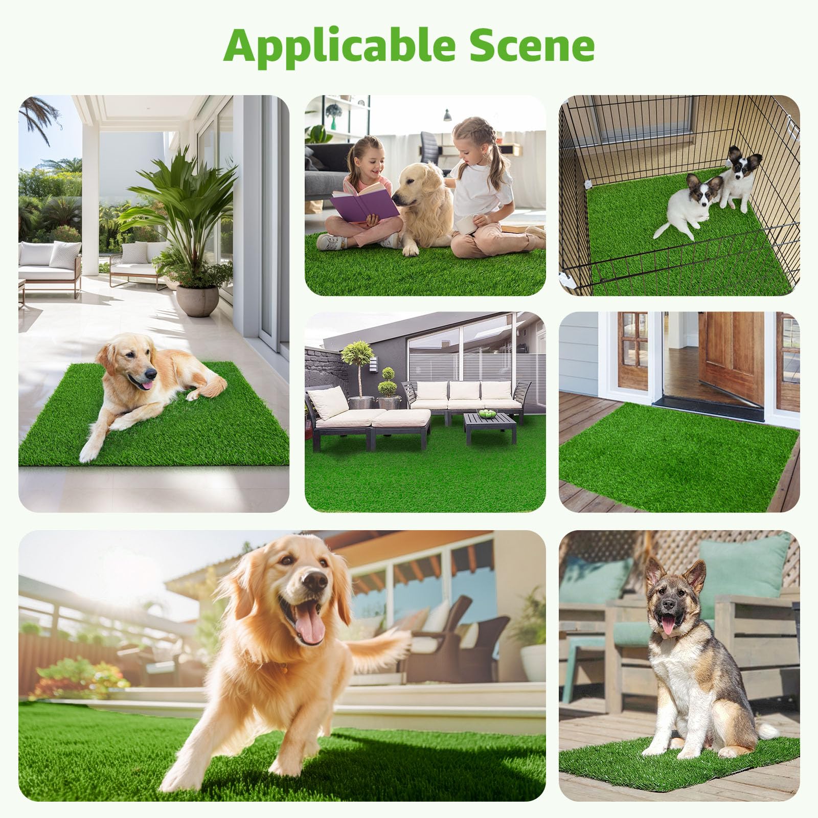 guidance for dogs to learn potty routines.