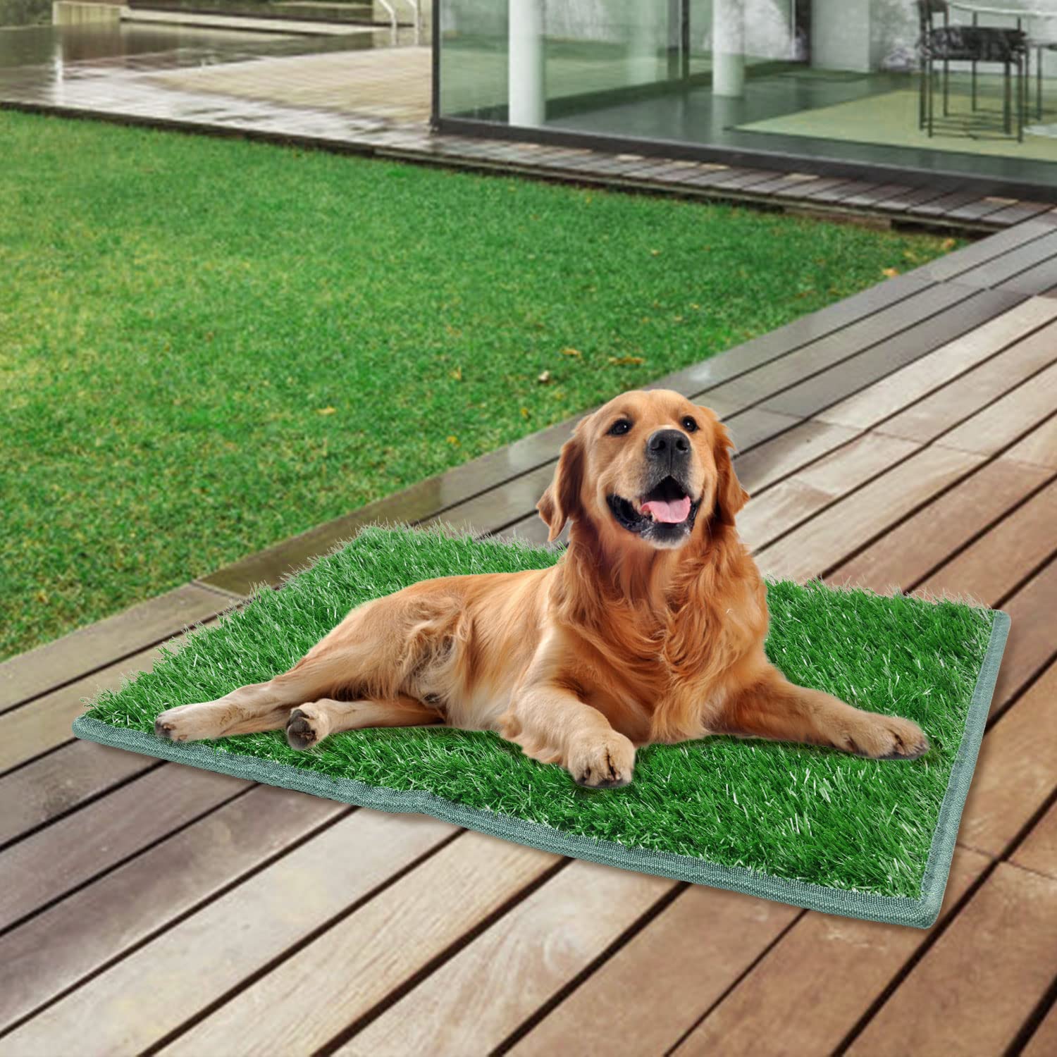 PICK FOR LIFE easy-to-clean dog potty pad, washable with soap and hose.