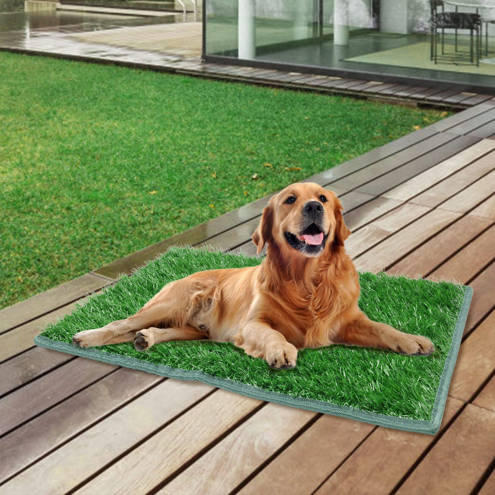 PICK FOR LIFE easy-to-clean dog potty pad, washable with soap and hose.