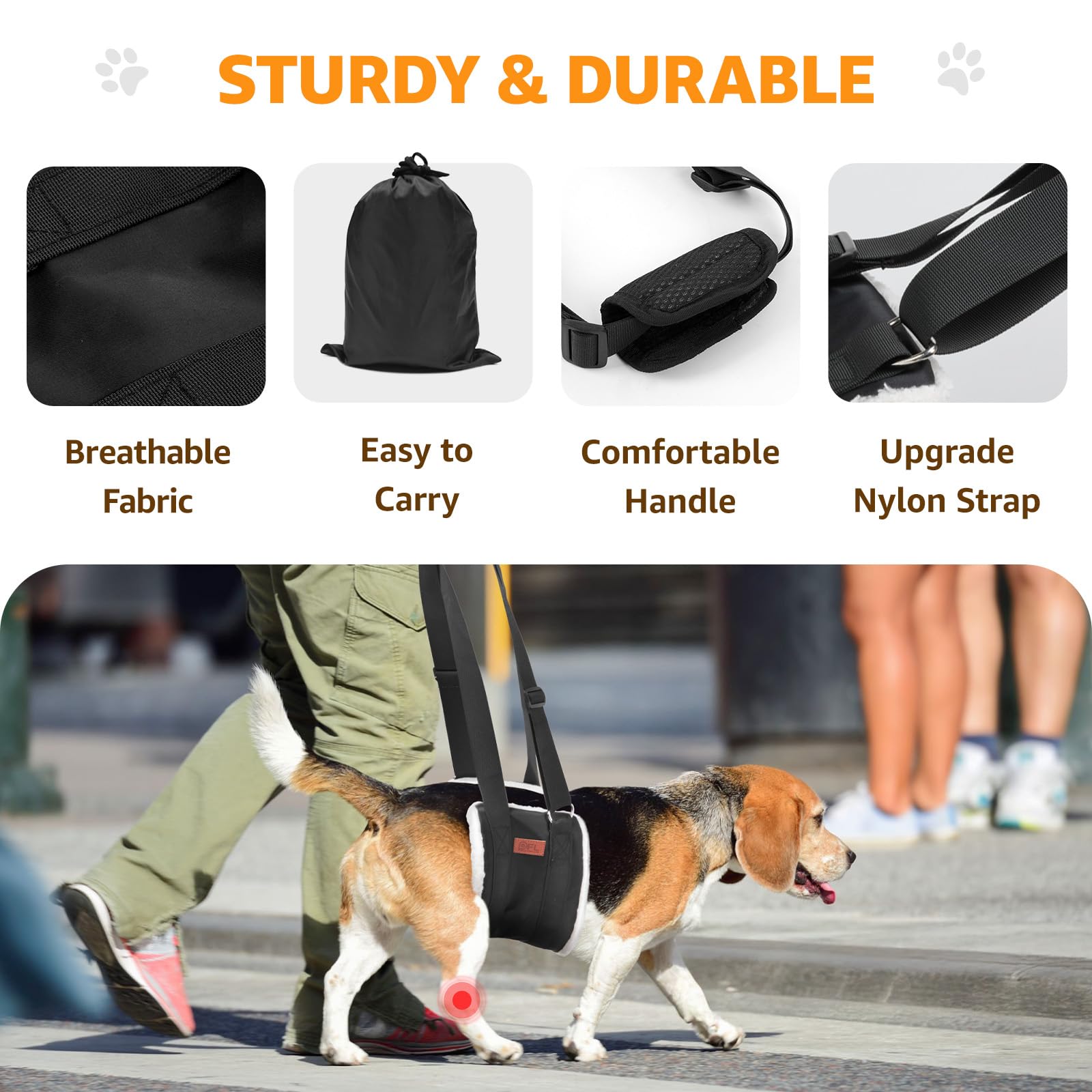 PICK FOR LIFE ergonomic rear support design for older dogs
