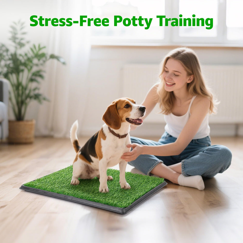 PICK FOR LIFE guide to using potty tray with scent cues