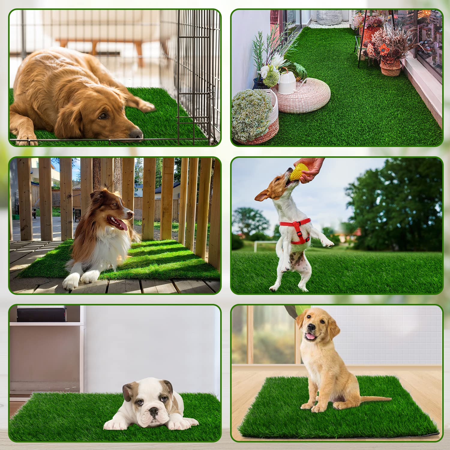 PICK FOR LIFE patio potty grass—versatile for balconies and apartments.