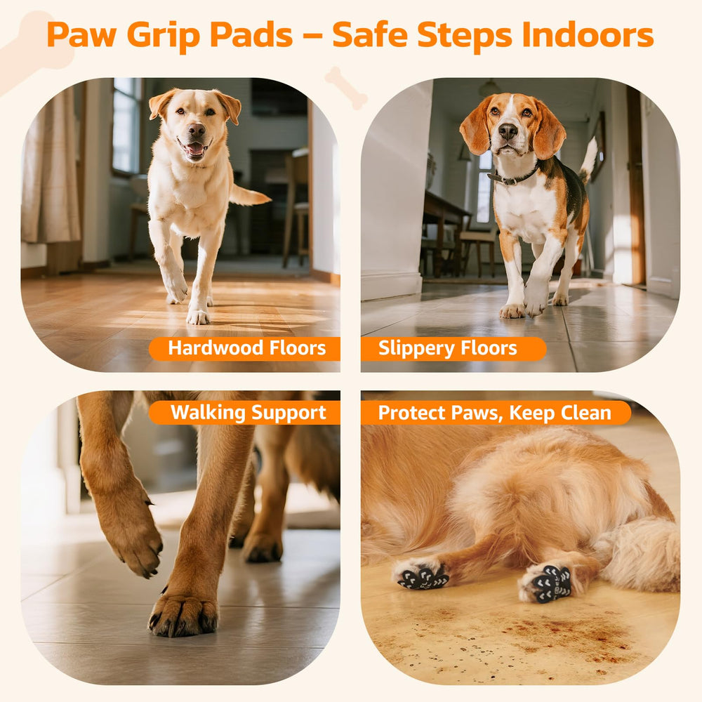 Dog wearing paw pad on a slippery hardwood floor during a test