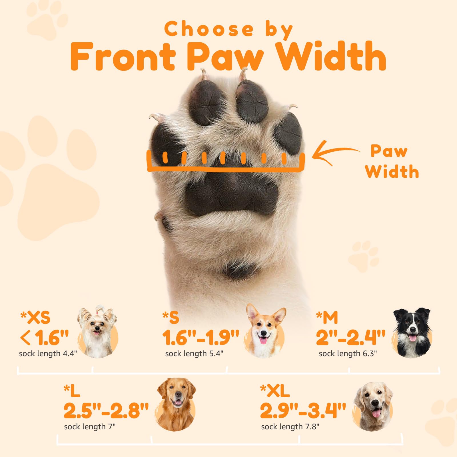 Suitable for small to large and senior dogs for everyday use.