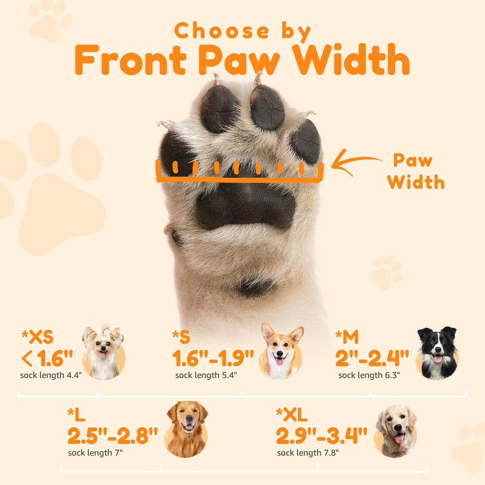 Suitable for small to large and senior dogs for everyday use.
