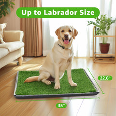 PICK FOR LIFE puppy training turf demonstrates soft realistic feel.