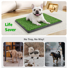 PICK FOR LIFE reusable pee pad for dogs reduces disposable waste