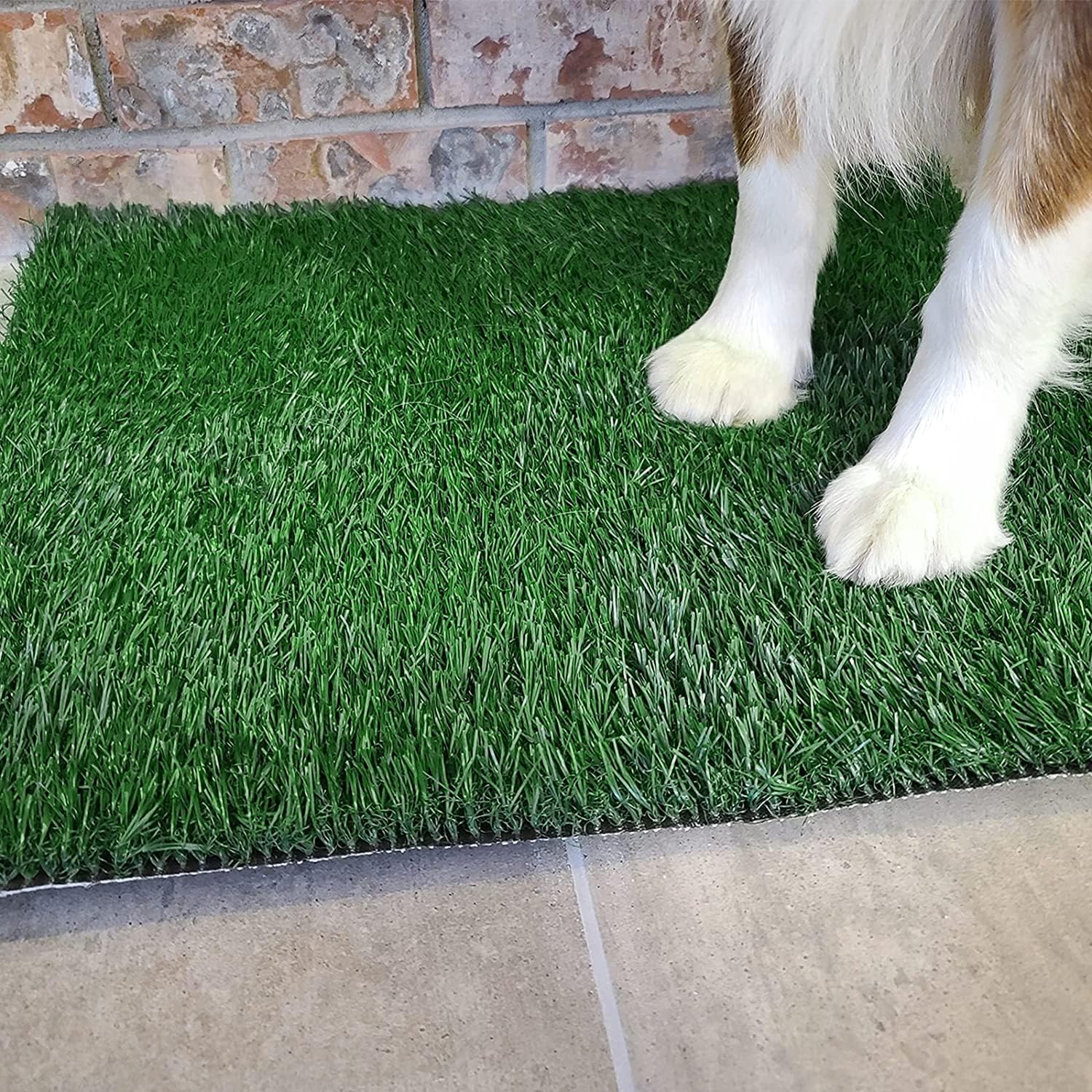 PICK FOR LIFE reusable puppy pad complements potty system.
