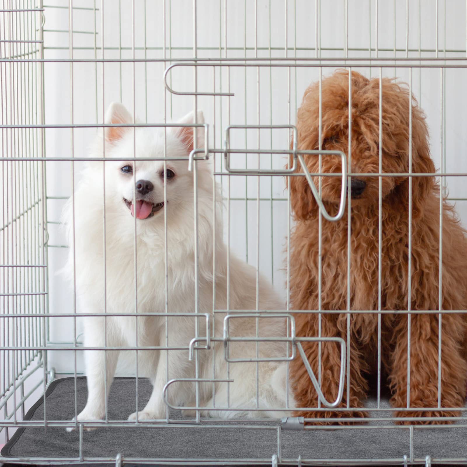 PICK FOR LIFE travel-friendly dog pad for playpens and crates