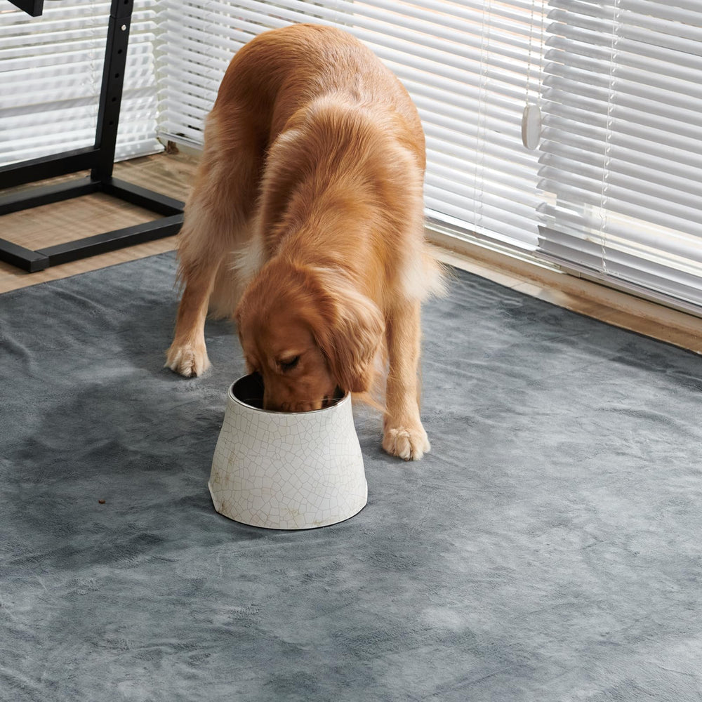 Pick For Life Wahsalbe puppy pads 41x41, easy-care machine washable.
