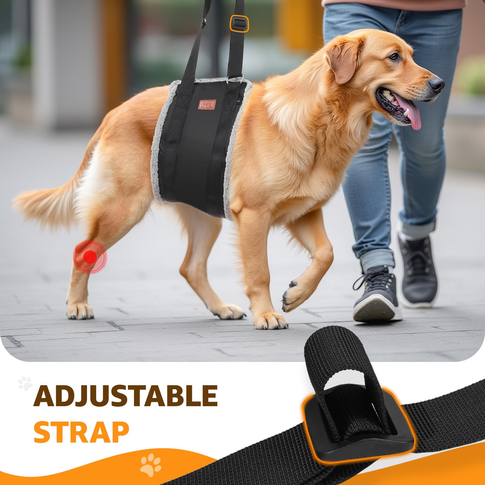 Pick For Life washable dog harness ready for daily care.