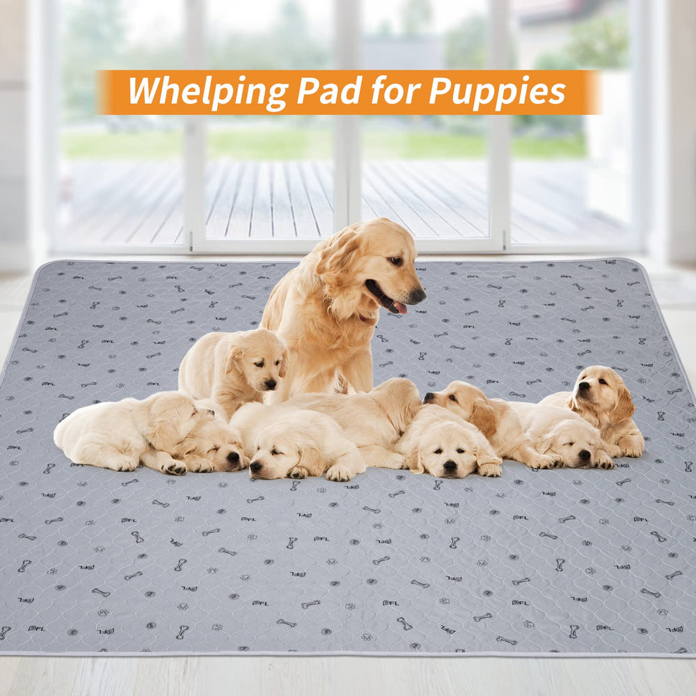 72x72 size folds easily for travel with your puppy.