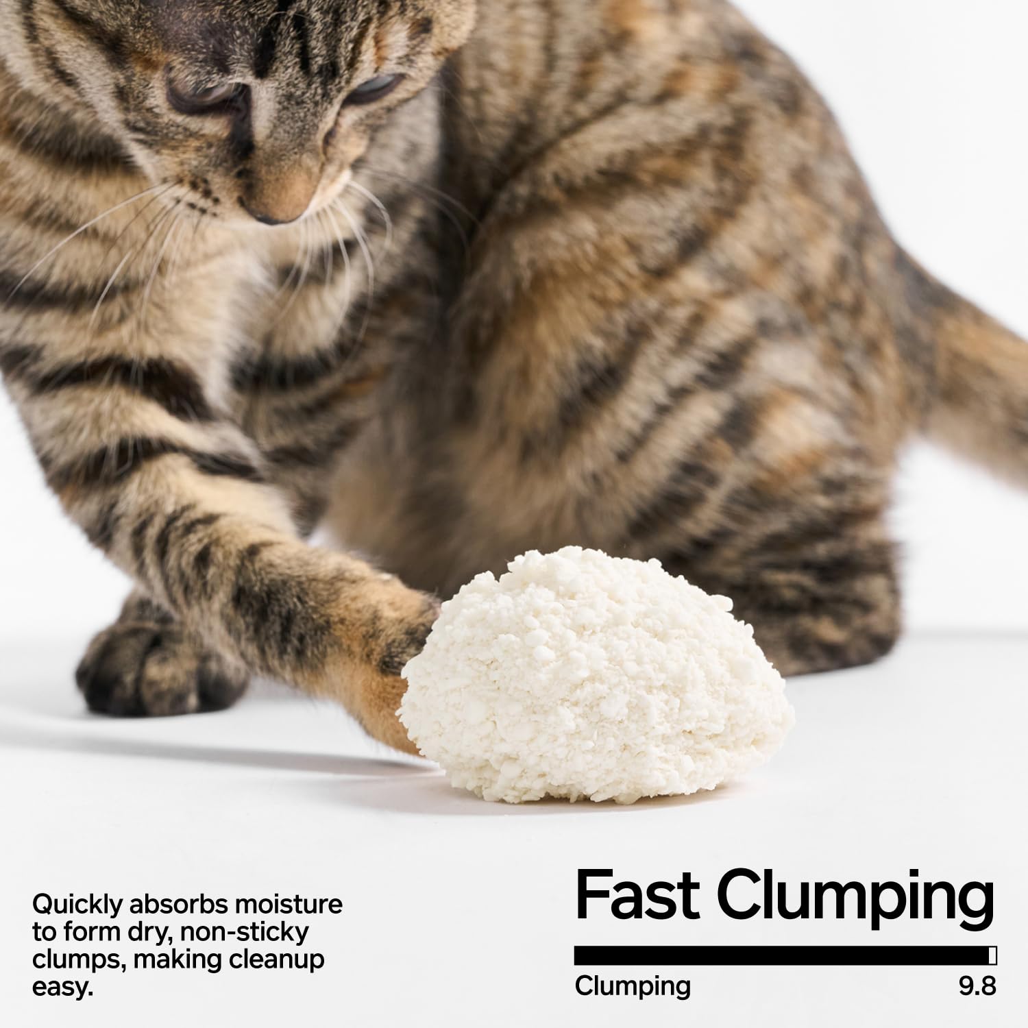 Pidan Cassava Cat Litter low dust for cleaner paws and surfaces.