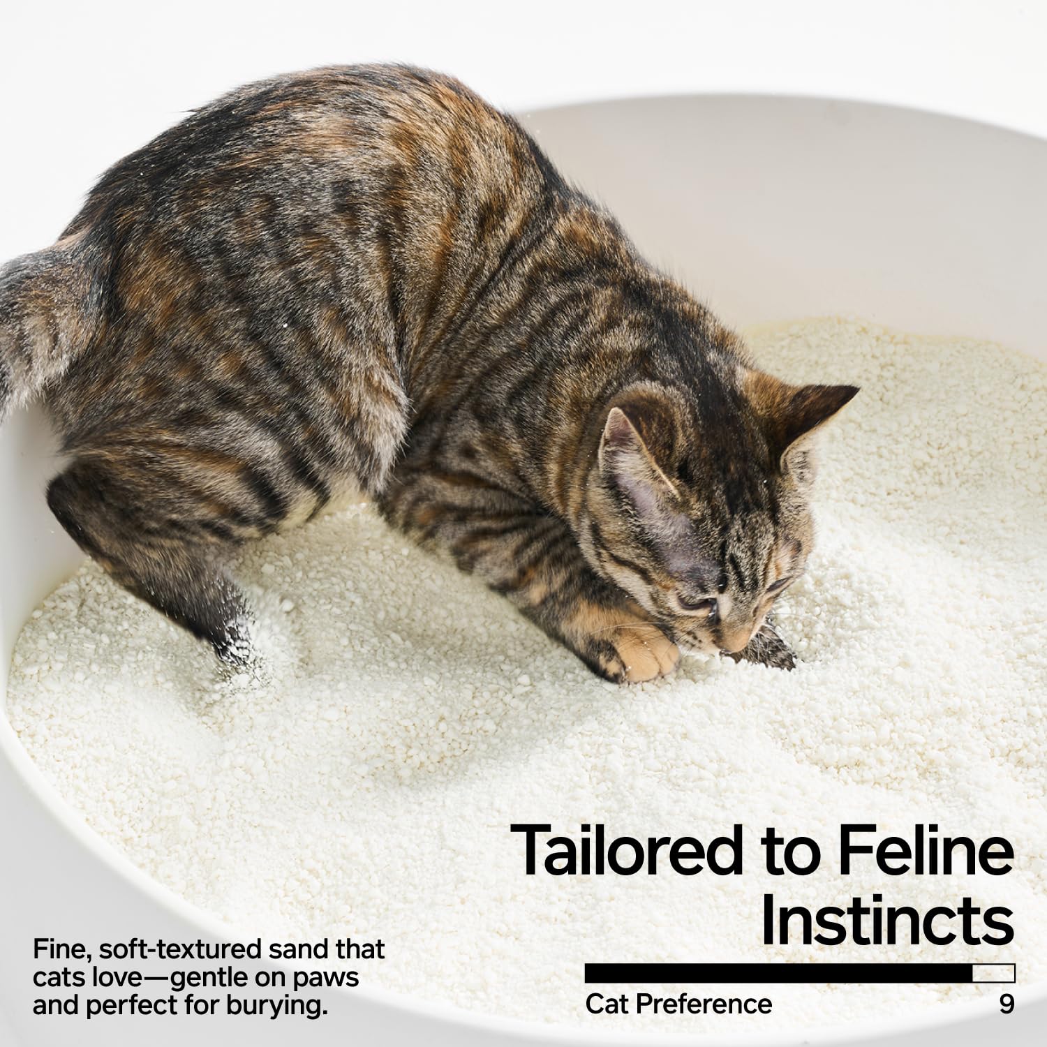 Pidan Cassava Cat Litter prevents tracking with paw-friendly design.