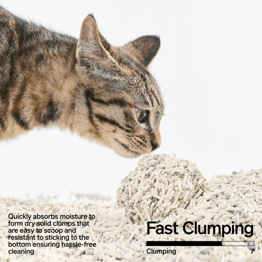 Pidan strong clumping action for easy scooping and containment.