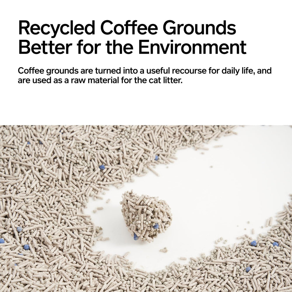 Pidan flushable concept image suggests responsible disposal options.