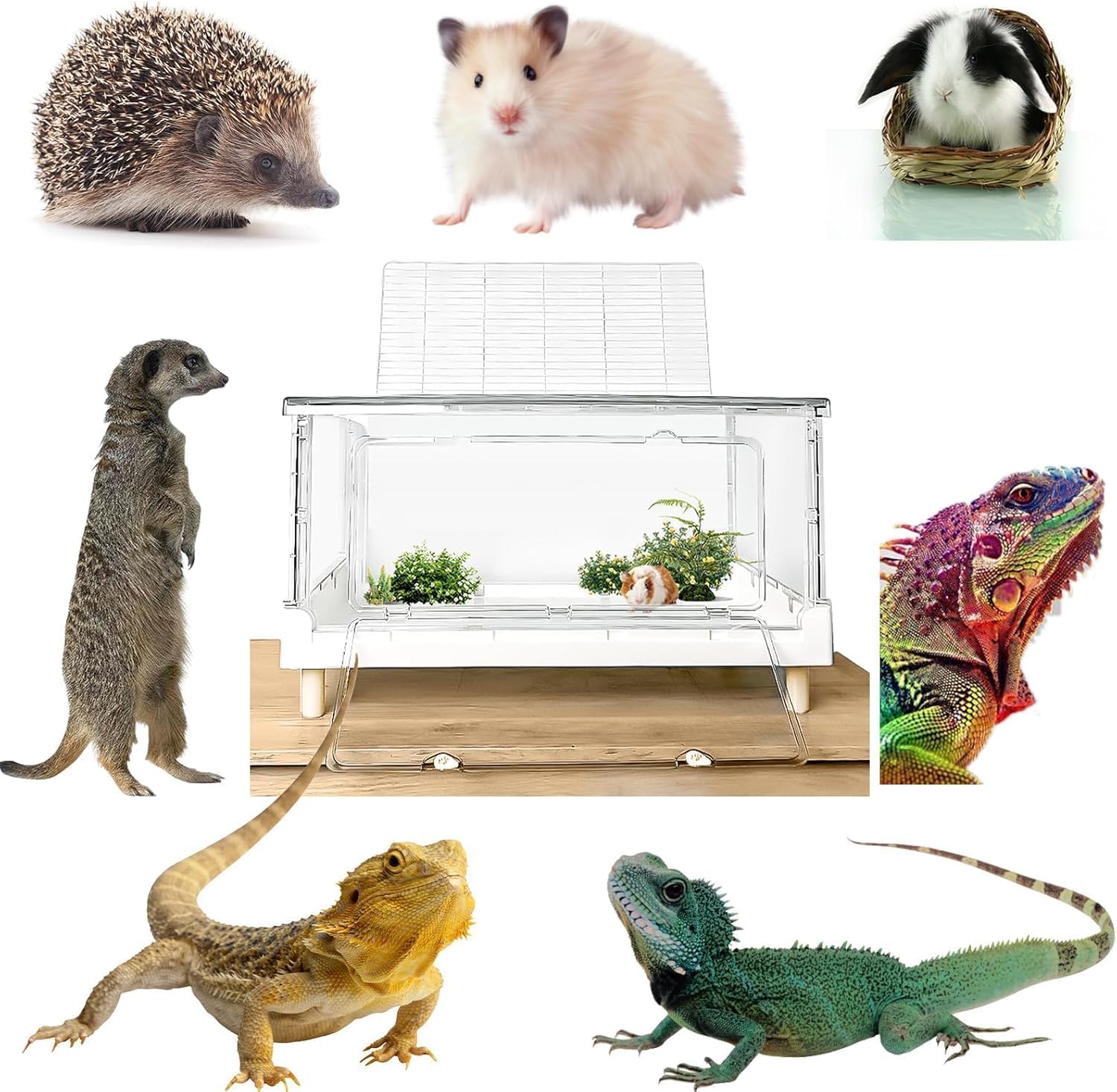 PIDINUK hamster cage top opening enables quick access during care.