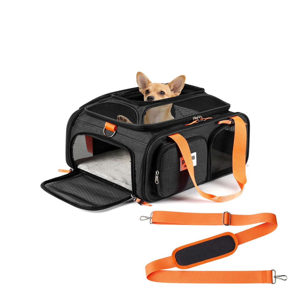 Pidipiti Frontier Allegiant Breeze under-seat carrier keeps a tiny pet comfortable in cabin.